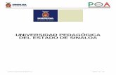 UNIVERSIDAD PEDAGÓGICA DEL ESTADO DE SINALOAupes.edu.mx/portal/pdf/POAS/2017_.pdf · aperturas de las autoridades para la innovación sustentada en lineamientos de desarrollo humano
