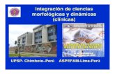 Integración de ciencias morfológicas y dinámicas (clínicas) · 2005. 12. 15. · Genetica y Embriología Patología Biología Celular Docencia en Salud Biofísica Microbiología