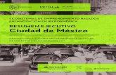 RESUMEN EJECUTIVO Ciudad de MéxicoResumen ejecutivo Ciudad de México Este reporte forma parte de una serie de resúmenes ejecutivos que comparten los hallazgos principales de estudios