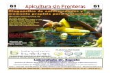 Apicultura sin Fronteras · 2020. 9. 30. · APICULTURA SIN FRONTERAS N 61 - JULIO 2011 - Hoja 3 Visite “NOTICIAS APICOLAS Seccion Economia Apicola” Noticias actualizadas las