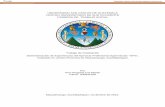 UNIVERSIDAD SAN CARLOS DE GUATEMALA CARRERA DE …CUNSUROC-, de la Universidad de San Carlos de Guatemala –USAC-, como requisito previo a sustentar el examen general público para