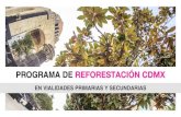 Secretaría del Medio Ambientedata.sedema.cdmx.gob.mx/reforestacion-urbana/reforestacion.pdf · Dirección de Manejo y Regulación de Áreas Verdes Urbanas Av. Leandro Valle s/n Col.