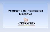 Programa de Formación Directiva de... · Estrategias • Sistema de evaluación diagnóstica en línea. • Incorporación de los directivos al uso de las TIC. • Formación a través