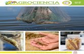 M.Sc. Roger Armando Arias Alvarado...of Sonsonate, El Salvador, with a duration of 90 days. evaluated the performance of the white shrimp Litopenaeus vannamei, in three stocking densities,
