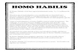 HOMO HABILIS - Culturas Antiguas Historia para 6to gradomoreno6tohistoria.weebly.com/.../8/22887774/homo_habilis.pdf · 2018. 9. 9. · HOMO HABILIS El Homo Habilis vivió hace aproximadamente