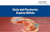 Guia del Paciente: Espina Bífidainofensiva espina bífida oculta que puede nunca ser detectada, hasta formas incapacitantes que ponen en peligro la vida. # 4. Síntomas de Espina