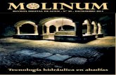 M LINUM...3 MOLINUM es un elemento de difusión de ACEM, la Asociación para la Conservación y Estudio de los Molinos. Con esta revista digital, de carácter divulgativo, científico