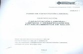Santuario Castelmonte - Buenos Aires · 2019. 10. 16. · La Resolución NO 13/07 "Titulos y Certificados de la Educación Técnico Profesional" del Consejo Federal de Educación,