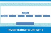 INVERTEBRATS UNITAT 9 - Biología Abecé · 2020. 7. 28. · INVERTEBRATS UNITAT 9. invertebrados video. PORÍFERS. PORÍFERS. ELS PORÍFERS Majoria marines Fixades al fons marí