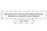 Métodos de Identificación Rápidalrios/3725/Ejercicio 9_2017.pdfIdentificación de 1900 bacterias, levaduras y hongos en base a su capacidad enzimática. Sistema de microplacas de