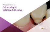 Máster Online en Odontología Estética Adhesiva...Establecer las competencias necesarias para la adecuada selección del agente adhesivo para cada situación clínica. Módulo 5