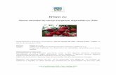 Nueva variedad de cereza temprana disponible en Chile. · Avda. 18 de Septiembre 6578 – Paine – Santiago, CHILE. P.O. BOX 177 Paine / Phone: (+56) 2- 28243725 Frisco cv. Nueva