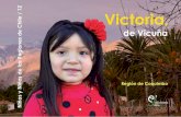 Victoria, Niños y Niñas de las Regiones de Chile / 12La Serie Niños y Niñas de las Regiones de Chile recoge esta diversidad y da cuenta, desde su mirada y voz, de la vida de ellos