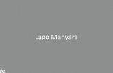 Presentación de PowerPoint › mail › AKGuiasPDF › AKTanzania › ...Leones trepadores y flamencos. Lago Manyara, a 2,5 horas de Arusha. Leones trepadores y flamencos. Lago Manyara,