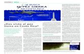 ¿Has visto al pez sierra en Costa Rica?biologia.ucr.ac.cr/archivos/2017/Pez Sierra-C+T.pdf“Realmente el pez sierra es uno de los grupos de peces más vulnerables a la extinción,