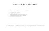 Apuntes de Estructuras Algebraicas - Academia Cartagena99 · 2015. 3. 17. · Apuntes de Estructuras Algebraicas por Enrique Arrondo(*) Version del 17 de Mayo de 2011 1. Teor´ıa