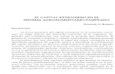 EL CAPITAL EXTRANJERO'·EN EL SISTEMA AGROALIMENTARIO PAMPEANObibliotecadigital.econ.uba.ar/download/docuciea/docuciea... · 2018. 6. 11. · EL CAPITAL EXTRANJERO'·ENEL SISTEMA