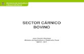 SECTOR CÁRNICO BOVINO - SIOC · 2019. 5. 13. · ***Cálculos CN-CCB Periodo completo 2008-2010 Favor verificar cifra de exportación de animales (2) durante 2011 -Se presenta un