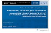 Extracción inducida por ruptura de microemulsión: una nueva … · 2020. 6. 30. · 2020 102 Priscila de Oliveira Vicentino Extracción inducida por ruptura de microemulsión: una