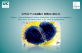 Enfermedades Infecciosas. Tema 6. Enfermedades Infecciosas producidas por cocos ... · 2017. 5. 18. · Enfermedades Infecciosas. Tema 6. Enfermedades Infecciosas producidas por cocos