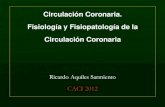 FISIOPATOLOGIA DE LA CIRCULACION CORONARIAhemodinamia.blogs.hospitalelcruce.org/files/2012/...coronaria20121-1.pdf · CORONARIA El músculo esquelético en reposo extrae solo un 25%