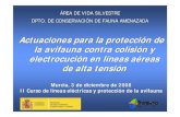 Actuaciones para la protección de la avifauna contra colisión ......la avifauna contra colisión y electrocución en líneas aéreas de alta tensión Murcia, 3 de diciembre de 2008