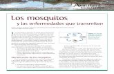 Los mosquitos y las enfermedades que transmiten · 2018. 4. 27. · forar y succionar, que termina en forma de Los mosquitos Sonja L. Swiger, profesora adjunta y entomóloga de Texas