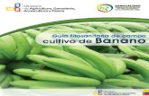 guia de campo banano - bananotecnia.com...con los requisitos fitosanitarios relacionados con las plagas cuarentenarias y no cuarentenarias reglamentadas, especificados por los países