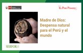 Presentación de PowerPoint...Madre de Dios: Despensa natural para el Perú y el mundo SÊÀFOR- ¿CUÁNTO CONOCEMOS DE NUESTRA BIODIVERSIDAD? 5738 especies 2231 Peces A 1857 Aves