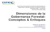 Curso Internacional de Formación de Capacitadores en ...Programa de Producción y Conservación en Bosques, CATIE Dimensiones de la Gobernanza Forestal: Conceptos & Enfoques Curso