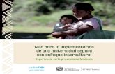 Guía para la implementación de una maternidad segura con enfoque … · 2020. 12. 15. · 125 aldeas Mbya Guaraní en Misiones 10.670 personas 2100 familias Fuente: Base de datos