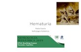 Hematuria - Alanepe · 2019. 4. 3. · •Glomerulonefritis posinfecciosa •Schonlein Henoch •GN por C3 •Nefropatía por IgA •Les •Nefritis familiar •Endocarditis •Shunt