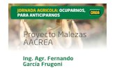 JAT AGR 2016 (4-Garcia Frugoni Fernando)creaoestearenoso.org.ar/wp-content/uploads/2016/08/JAT... · 2016. 9. 5. · Proyecto Malezas | I+D | Movimiento CREA . EVOLUCIÓN Amaranthus