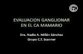 EVALUACION GANGLIONAR EN EL CA MAMARIO · 2019. 2. 9. · GANGLIO CENTINELA •La técnica quirúrgica del ganglio centinela introducida en los 90´s, representó un avance en el