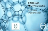 CADENAS MIOFASCIALES -Postura -Movimiento · 2020. 8. 19. · LAS CADENAS DETERMINAN LA ESTÁTICA Prof. Claudio Benitez Las “tensiones” se expresan por las Cadenas Representan