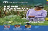 FAO - Ecuador - Gob...[ 6 ] Boletín Informativo - FAO Ecuador Desde 1981, la FAO celebra cada 16 de Octubre el “Día Mundial de la Alimentación”, con el fin de concientizar al