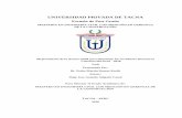 UNIVERSIDAD PRIVADA DE TACNA - UPTrepositorio.upt.edu.pe/bitstream/UPT/644/1/Duarte-Kocfu-Pedro.pdf · reportados de trabajo durante la construcción entre el 2014 y el 2017 Como