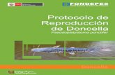 Protocolo de Reproducción de Doncella - E-max · 2018. 2. 22. · acuicultura, viene desarrollando en el Centro de Acuicultura Nuevo Horizonte-Loreto, la tecnología del cultivo