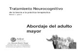 Tratamiento Neurocognitivo...Tratamiento Neurocognitivo de la teoría a la práctica terapéutica Módulo 4 – parte 2 Lic. Marcela Beatriz Raggi Psicóloga (UCA) - Prof. PsicopedagogíaEstimulación