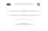 Universidad Autónoma de Chihuahua Facultad de Contaduría y … 146-UACH.pdf · 2014. 4. 8. · El objetivo del trabajo fue identificar las características del rumor en la comunicación