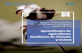Desafíos de la producción y comercialización de algodón ...Desafíos de la producción y Comercialización de Algodón Orgánico en Perú - Aprendizajes de Agricultores Familiares