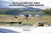 INFORME TÉCNICO-CIENTÍFICO DE LA CALIDAD DEL AGUA ...acafremin.org/images/documentos/INFORME-CALIDAD-DEL-AGUA--… · INFORME DE LA CALIDAD DEL AGUA ALREDEDOR DE LA MINA MARLIN