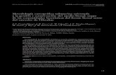 Metodología cartográfica submarina orientada a la gestión y ...personal.us.es/jmguerra/pdfs/pdf80.pdfJ. C. García-Gómez et al. Cartografía submarina del bentos en el estrecho
