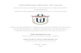 UNIVERSIDAD PRIVADA DE TACNA - UPTrepositorio.upt.edu.pe/bitstream/UPT/919/1/Vildoso... · 2020. 10. 20. · digitales de estudiantes de la Carrera Profesional de Ciencias de la Comunicación