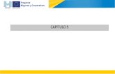 CAPITULO 5 - Programa Mipymes y Cooperativas · 2019. 10. 22. · CAPITULO 5. 5. Gestión de un programa de auditoria -PA 5.1 Generalidades Programa de auditoria : Detalles acordados