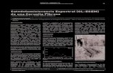 Catodoluminiscencia Espectral (CL-ESEM) de una Cerusita Fibrosa · 2018. 1. 10. · revista de la sociedad española de mineralogía Catodoluminiscencia Espectral (CL-ESEM) de una