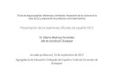 Presentación de los exámenes oficiales de español DELE27efe9cb... · 2020. 8. 19. · El Diploma de español nivel B2 acredita la capacidad del usuario de la lengua para: •comprender