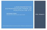 LINEAMIENTOS ESTRATÉGICOS PARA LA POLÍTICA DE CTI · 2020. 7. 30. · para la identificación de lineamientos estratégicos para la política científica y tecnológica de la provincia.