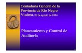 Planeamiento y Control de Auditoría · 2014. 9. 9. · UNIVERSO UNIVERSO DE AUDITORIA POTENCIAL DE AUDITORIA POTENCIAL Objetivos del programa de Auditoría DEFINICION DEL UNIVERSO