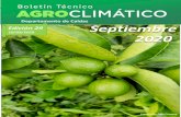 Departamento de Caldas Edición 29 Septiembre 2020cdiac.manizales.unal.edu.co/inicio/publicaciones/Boletin... · 2020. 9. 16. · 2 Organizadores de la XXIX Mesa Técnica Agroclimática